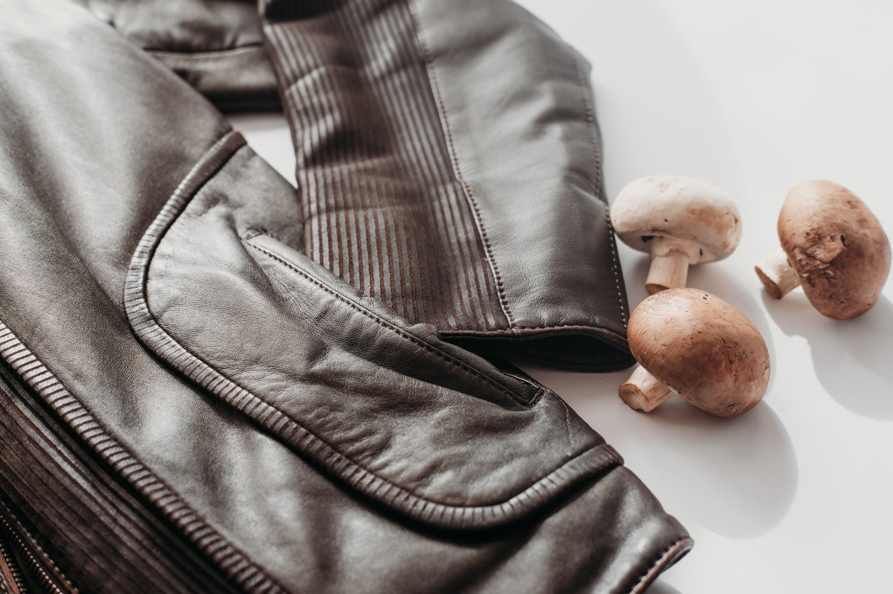 How to Clean a Leather Jacket That Smells in USA in 2025